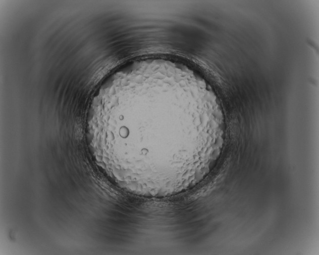 X0000091180929200709060951