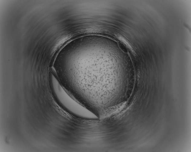 X0000091180930200709060951