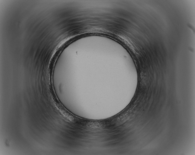 X0000091180931200709060951