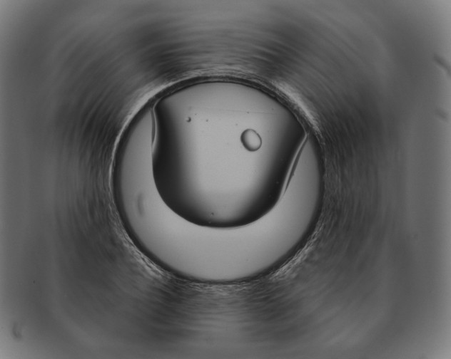 X0000091180932200709060951