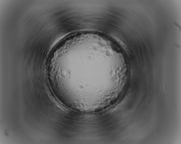 X0000091180933200709060951