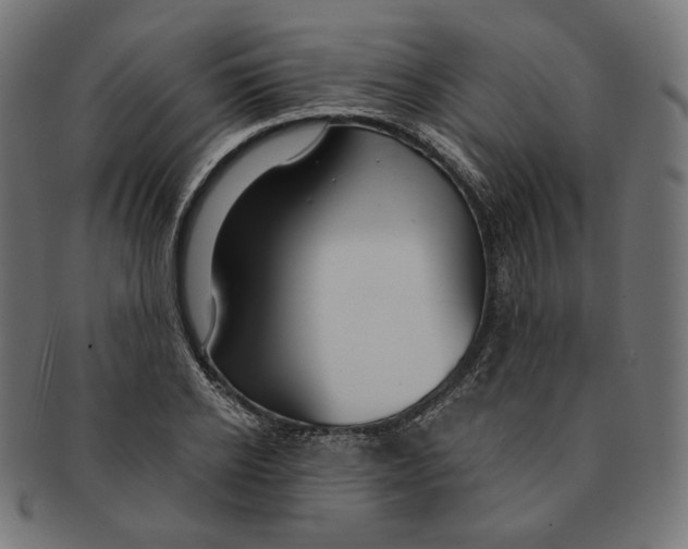 X0000091180934200709060951