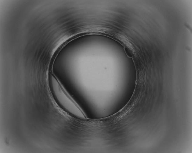 X0000091180936200709060951