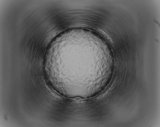 X0000091180937200709060951