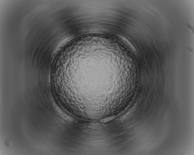 X0000091180938200709060951