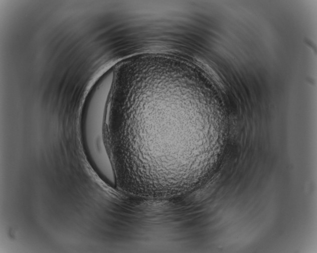 X0000091180939200709060951
