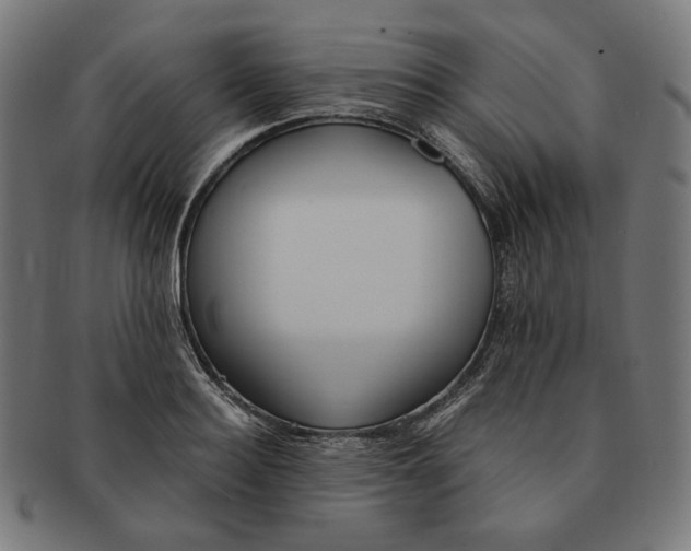 X0000091180940200709060951