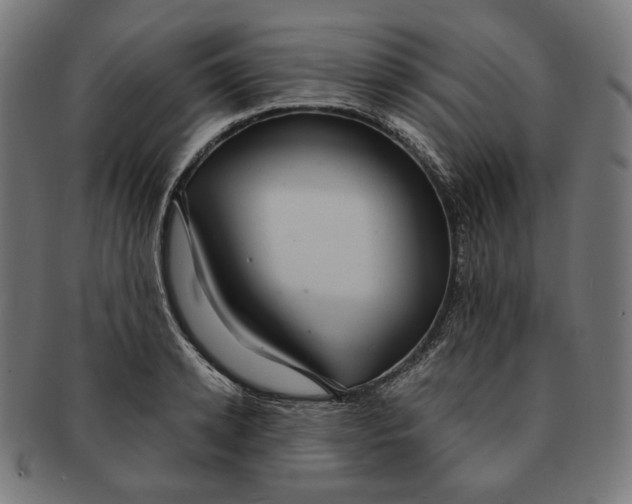 X0000091180942200709060951