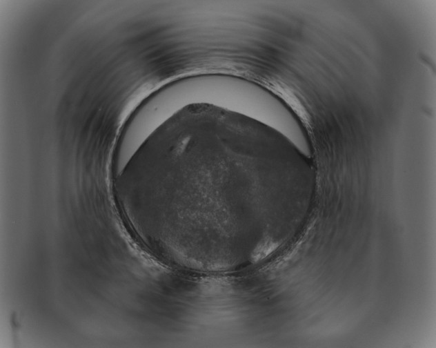 X0000091180944200709060951