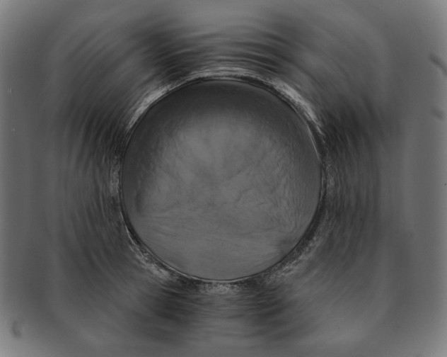 X0000091180945200709060951