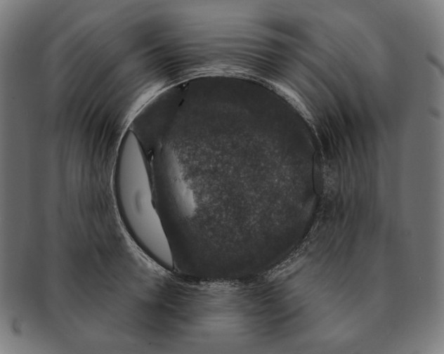 X0000091180946200709060951
