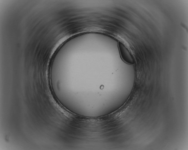 X0000091180947200709060951