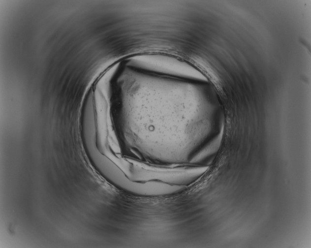 X0000091180948200709060951