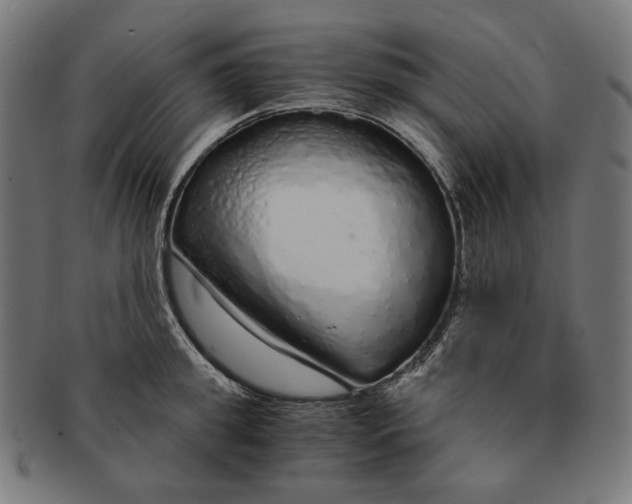 X0000091180949200709060951