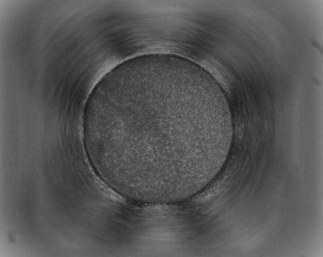 X0000091180950200709060951