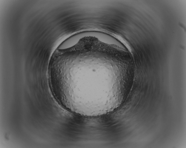 X0000091180951200709060951