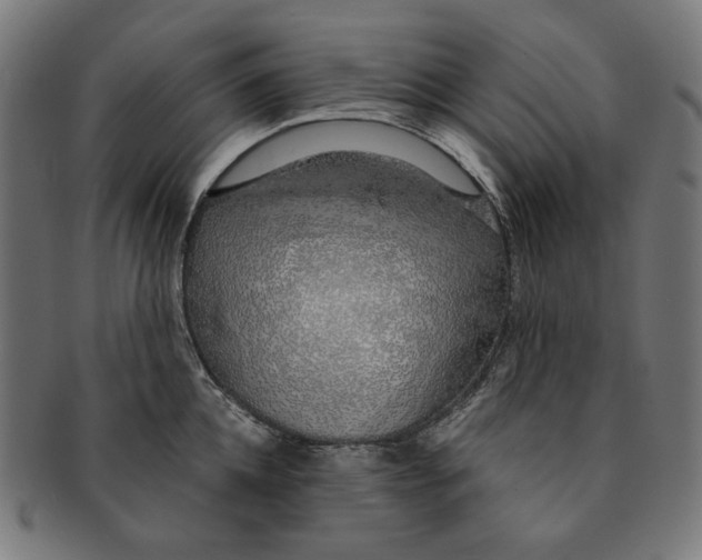 X0000091180952200709060951