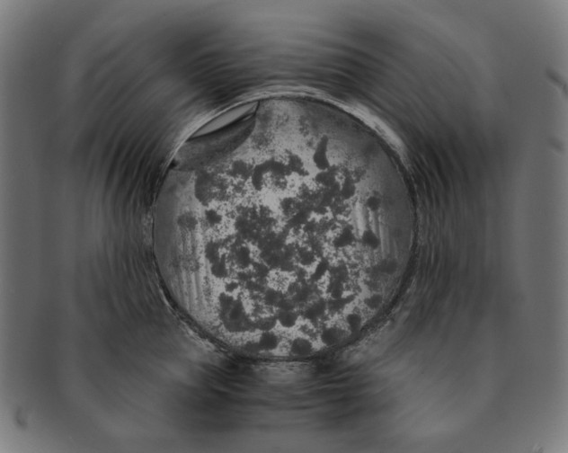 X0000091180953200709060951