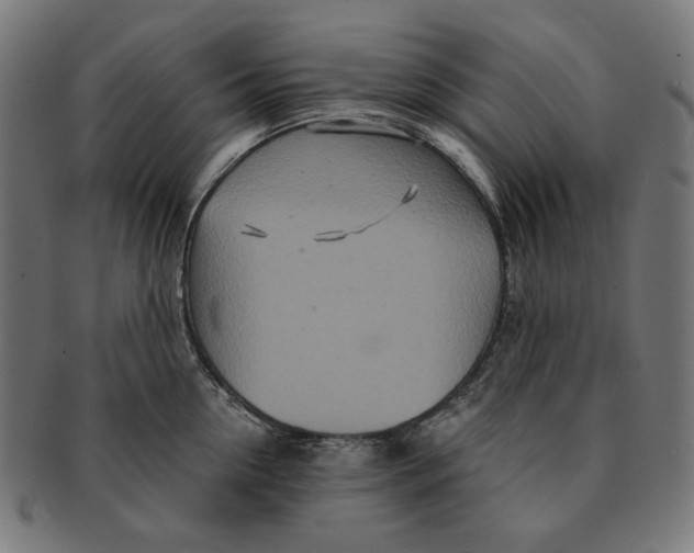 X0000091180954200709060951