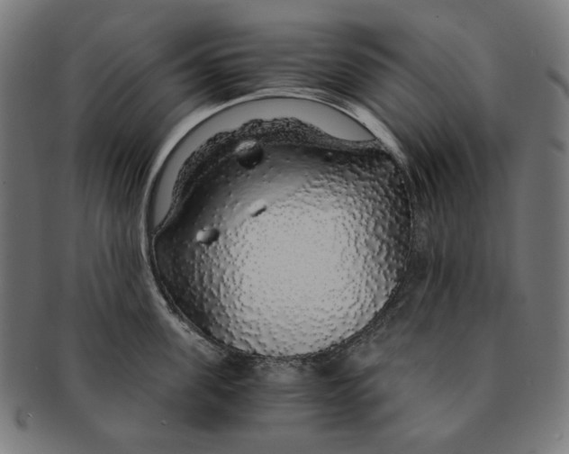 X0000091180955200709060951