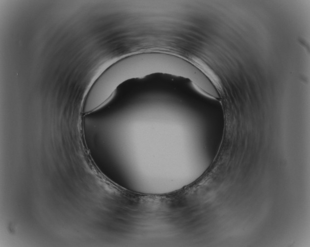 X0000091180956200709060951