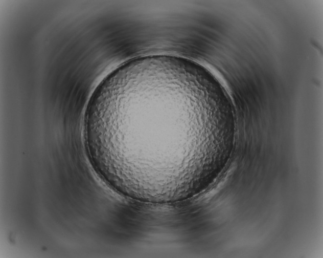 X0000091180957200709060951