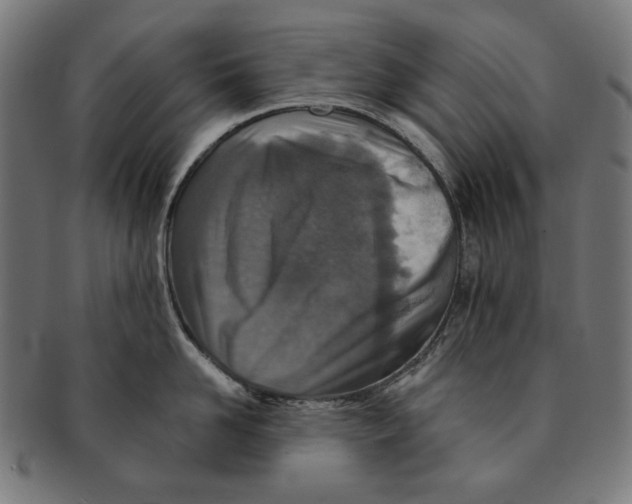 X0000091180958200709060951