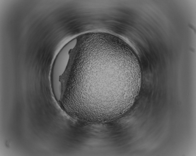 X0000091180959200709060951
