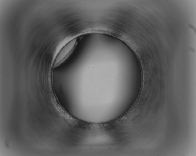 X0000091180960200709060951