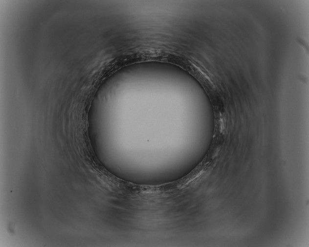 X0000091180961200709060950