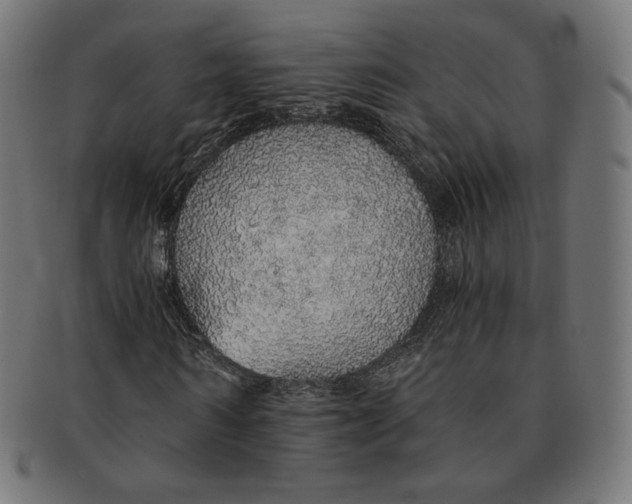 X0000091180962200709060950