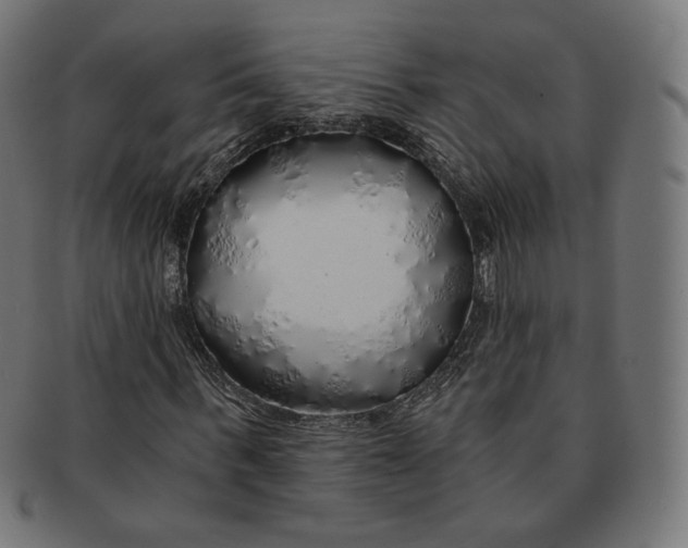 X0000091180963200709060950