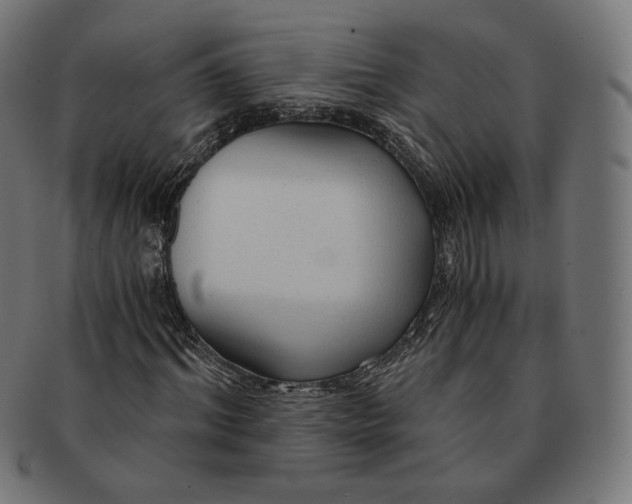 X0000091180964200709060950
