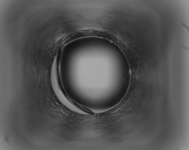 X0000091180965200709060950
