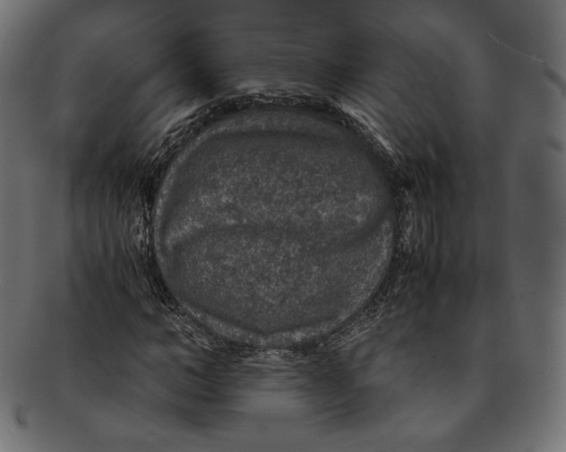 X0000091180966200709060950