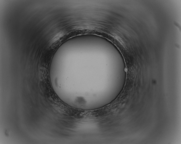 X0000091180967200709060950