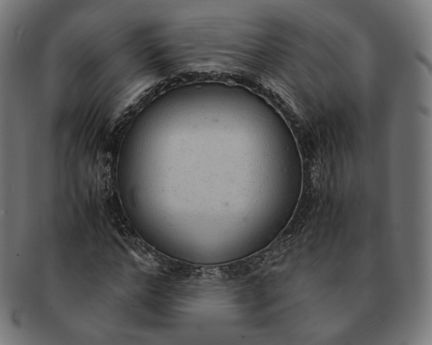 X0000091180968200709060950