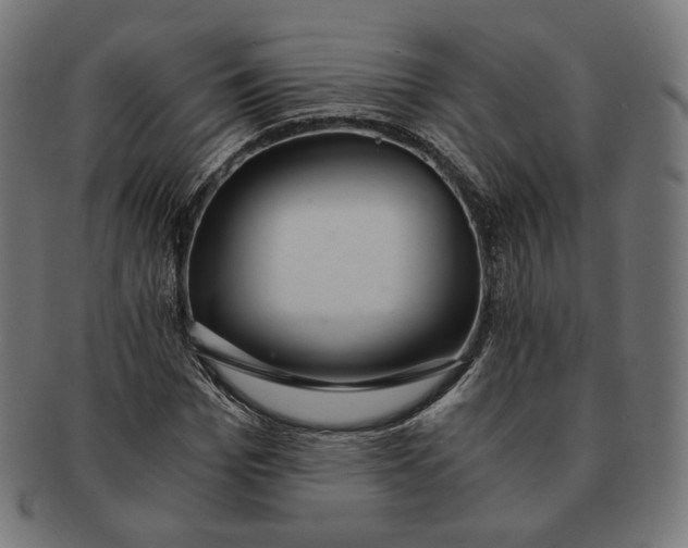 X0000091180969200709060950