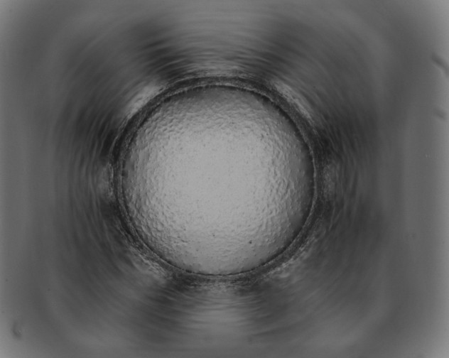 X0000091180970200709060950