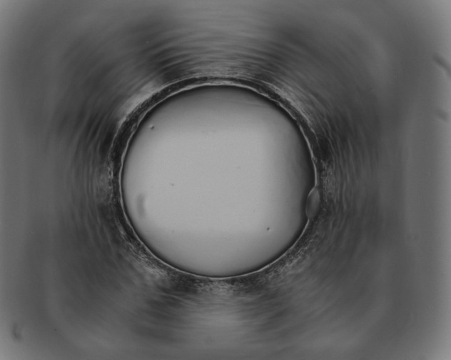 X0000091180971200709060950