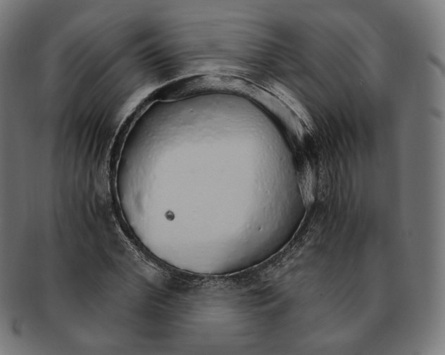 X0000091180972200709060950