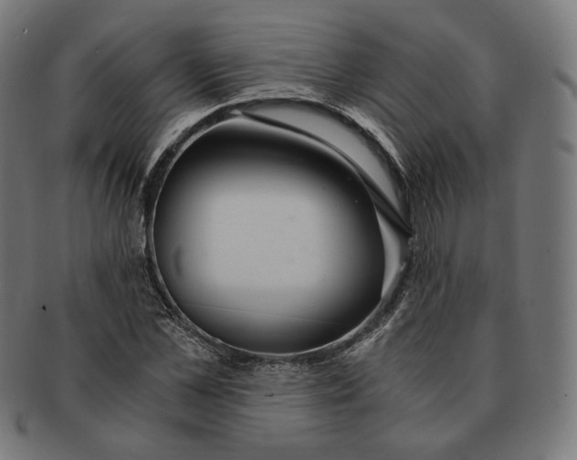 X0000091180973200709060950