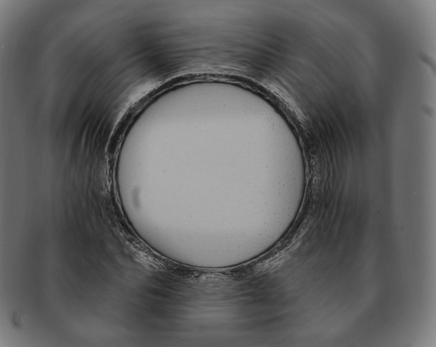 X0000091180974200709060950