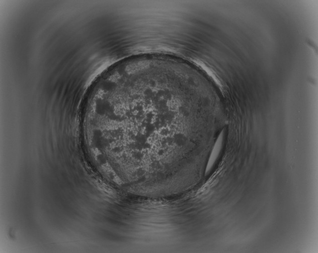 X0000091180975200709060950