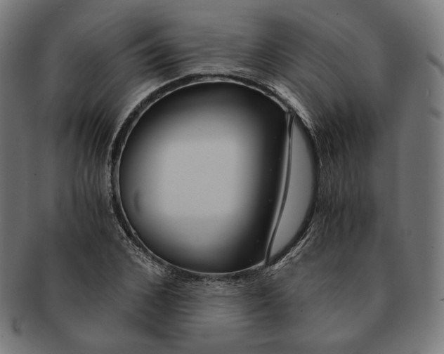 X0000091180976200709060950