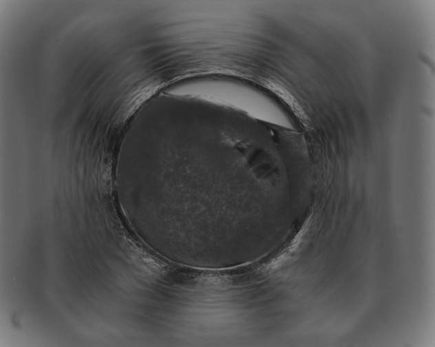 X0000091180977200709060950