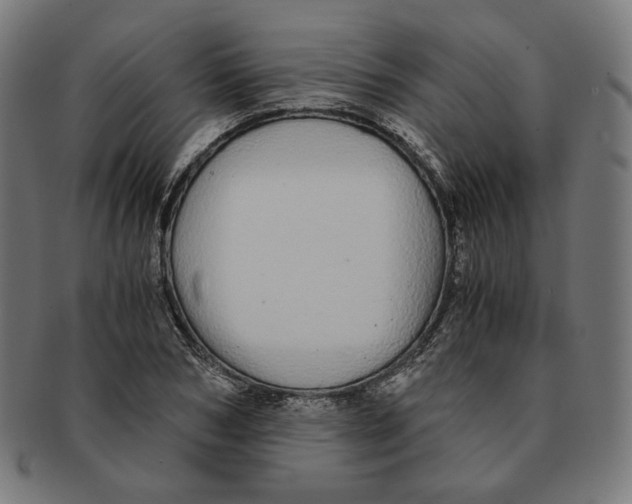 X0000091180978200709060950