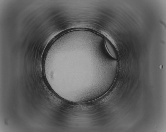 X0000091180980200709060950