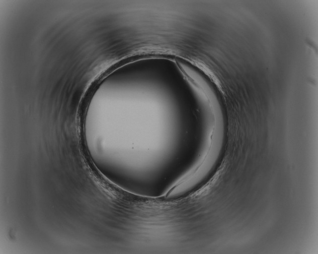 X0000091180981200709060950