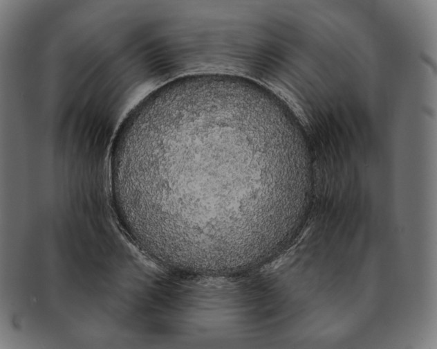 X0000091180982200709060950